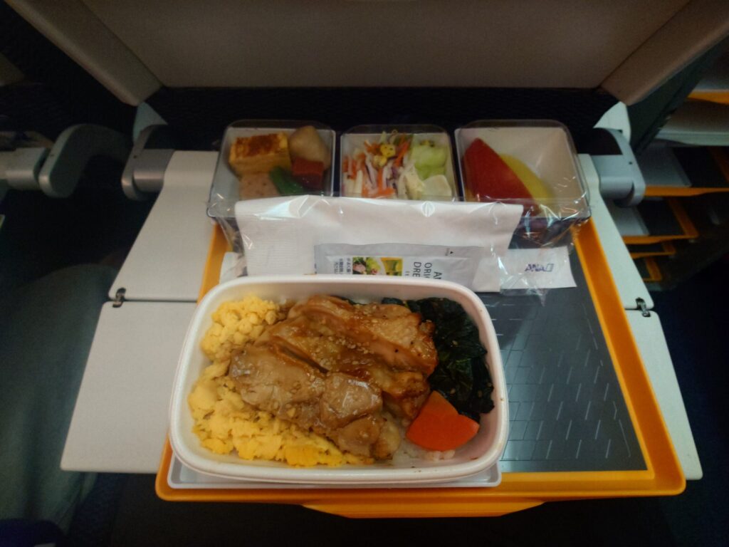 深夜2時27分に提供された、照り焼きチキンと卵のそぼろご飯、煮物、サラダ、カットフルーツのANA機内食。